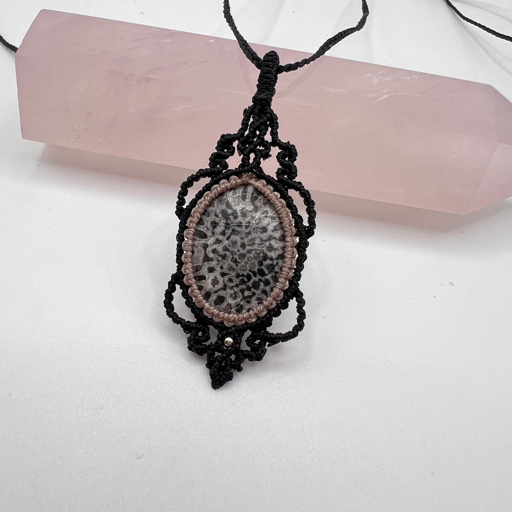 Luz de Tara Coral – Conjunto Coral