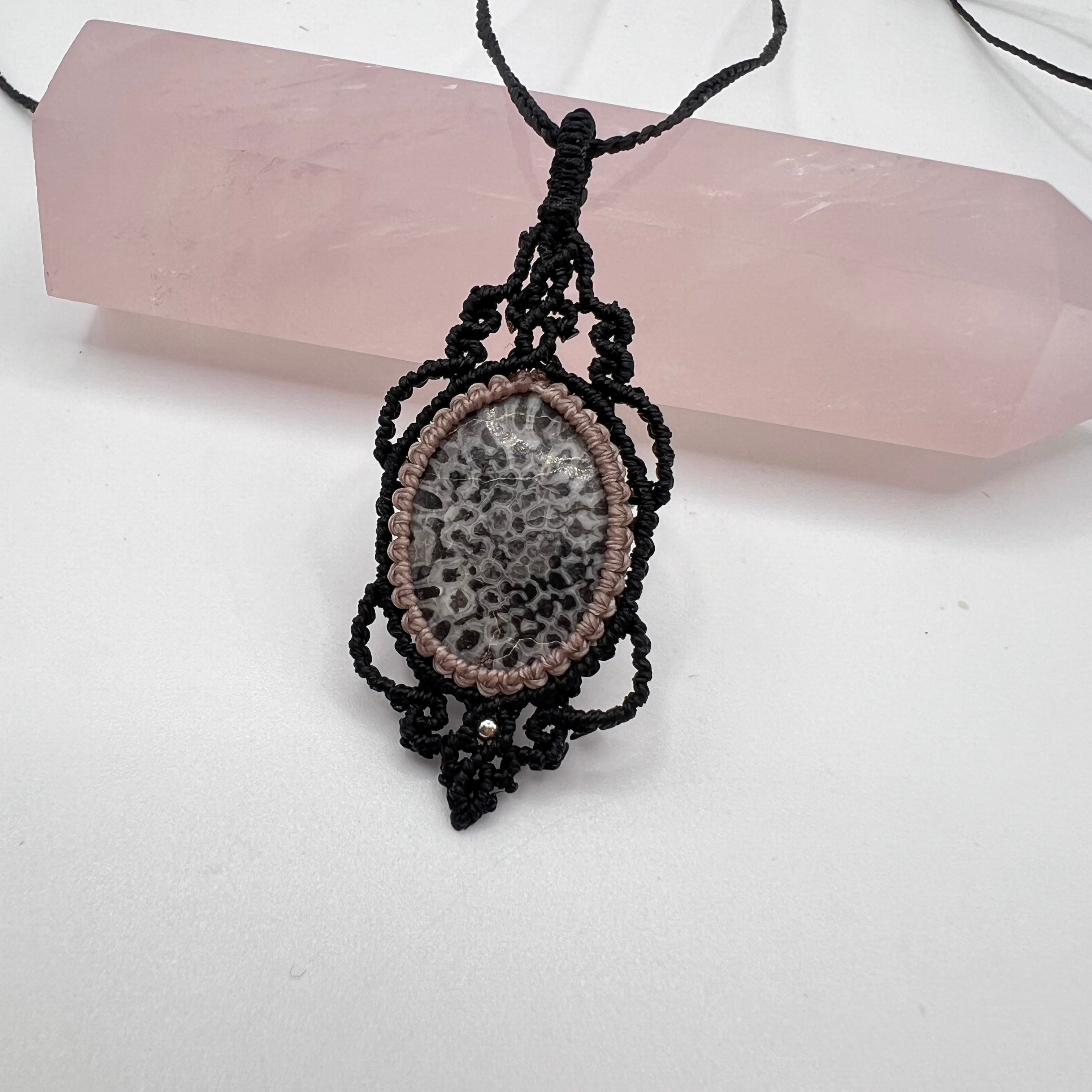 Luz de Tara Coral – Conjunto Coral