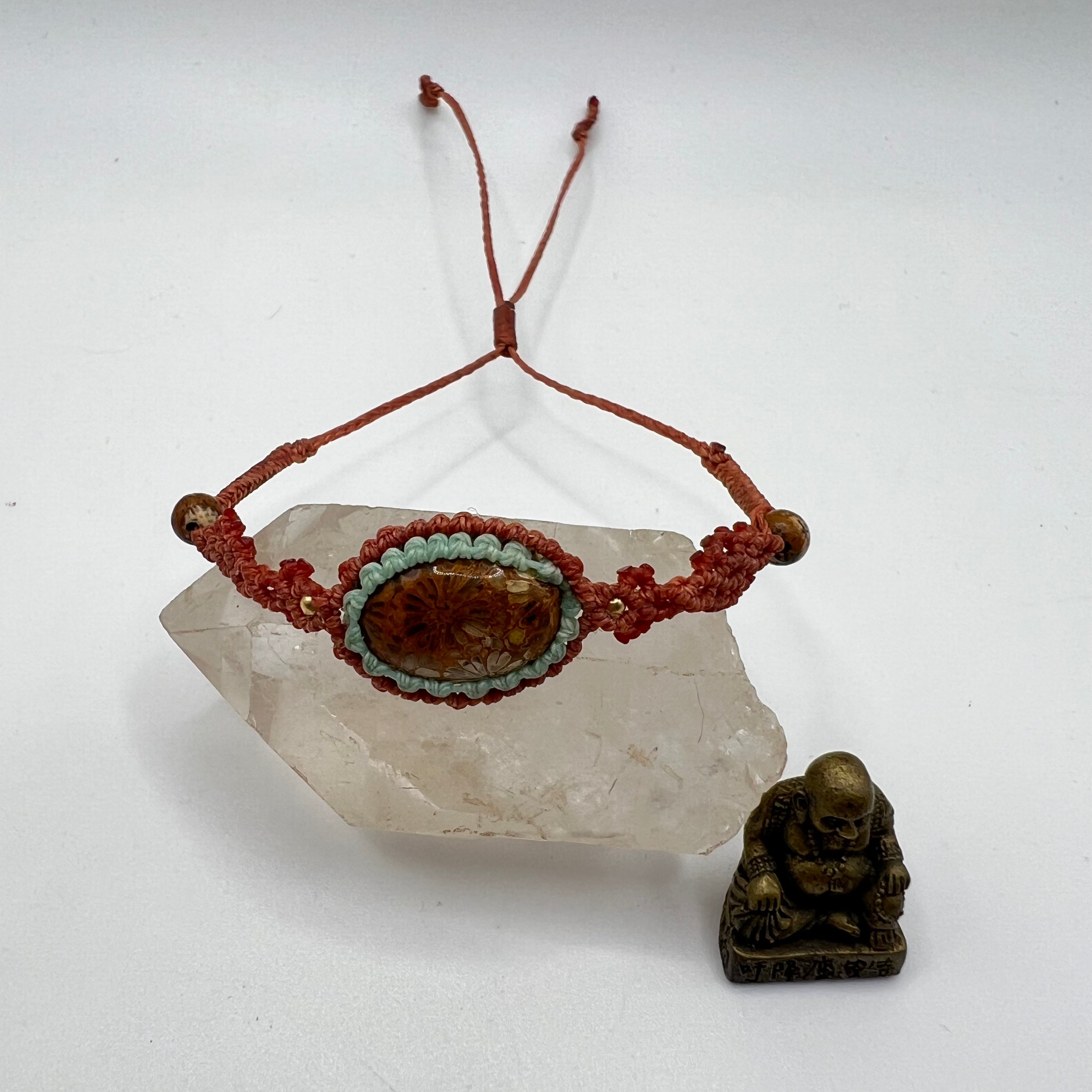 Colección Pokhara Coral fósil