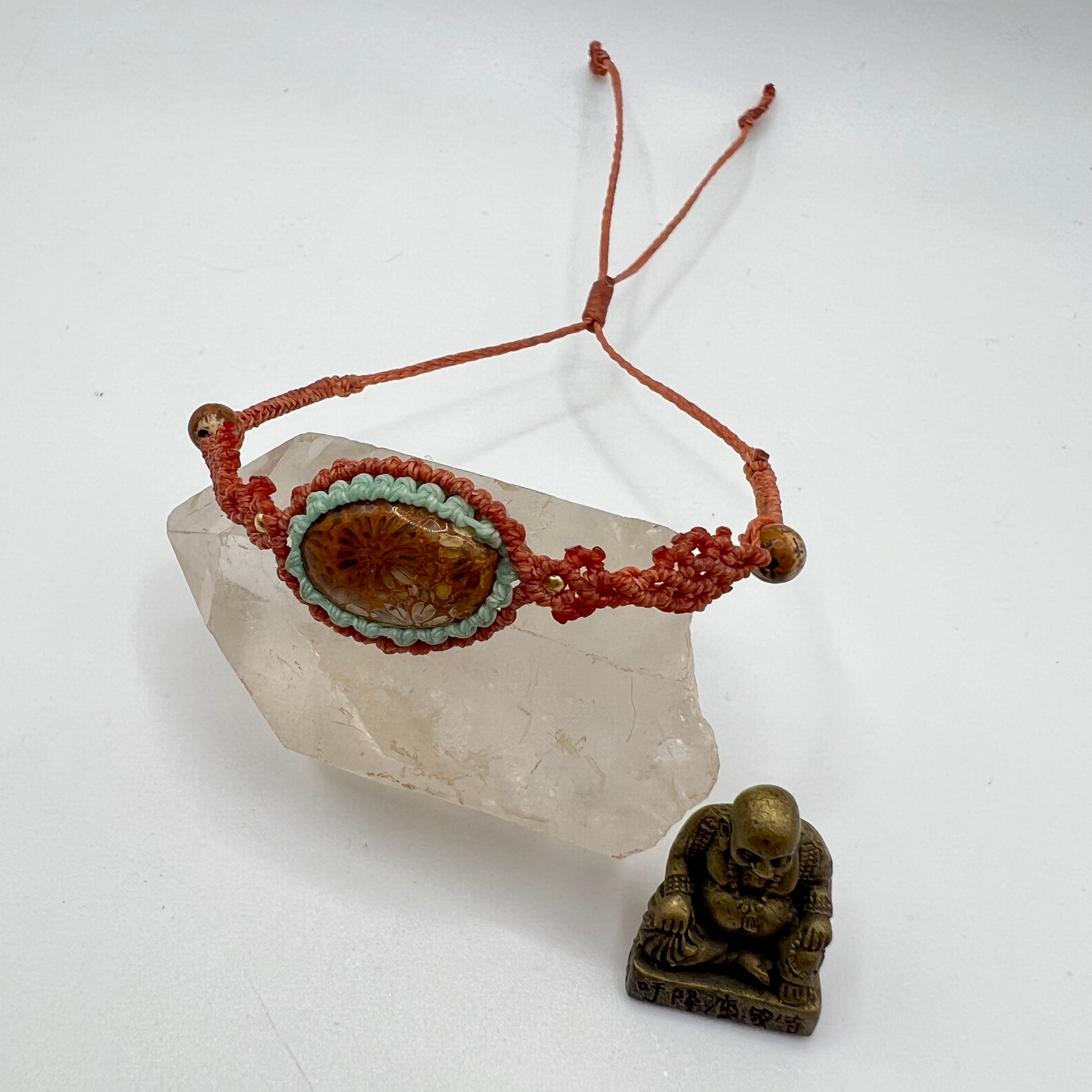 Colección Pokhara Coral fósil