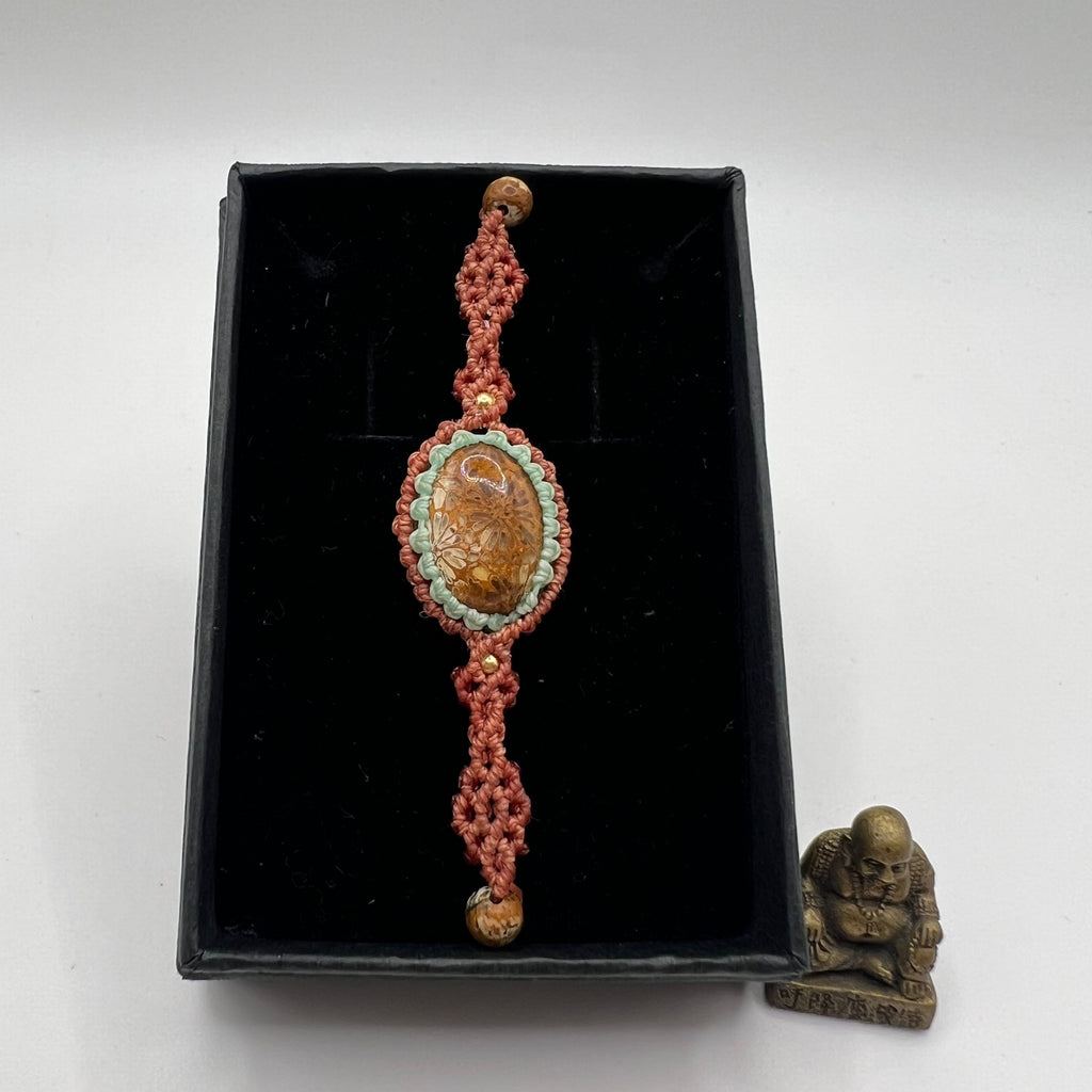 Colección Pokhara Coral fósil