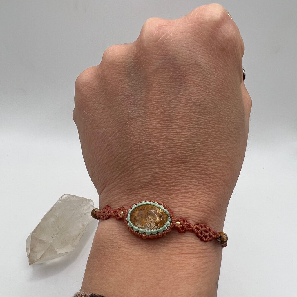 Colección Pokhara Coral fósil