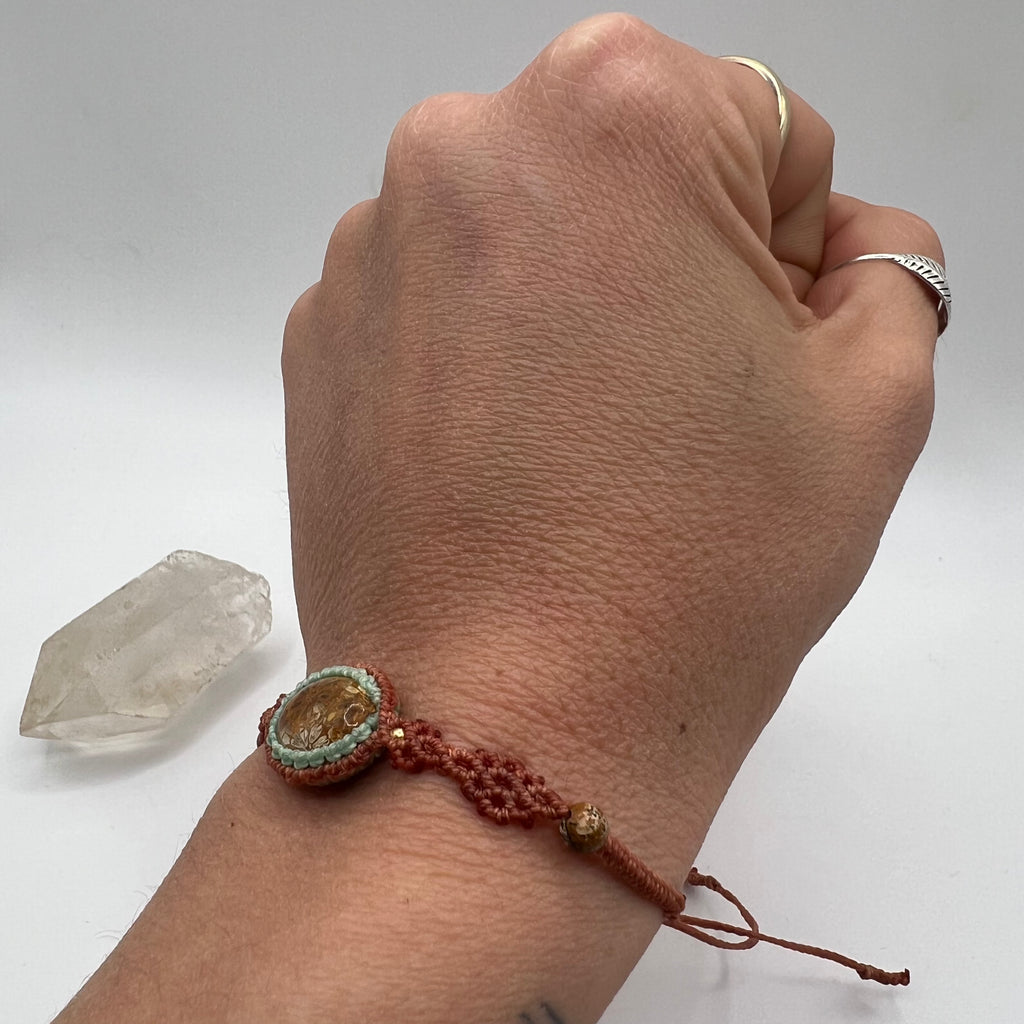 Colección Pokhara Coral fósil