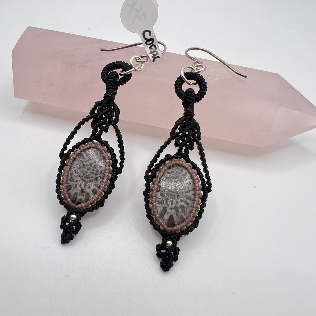 Luz de Tara Coral – Conjunto Coral